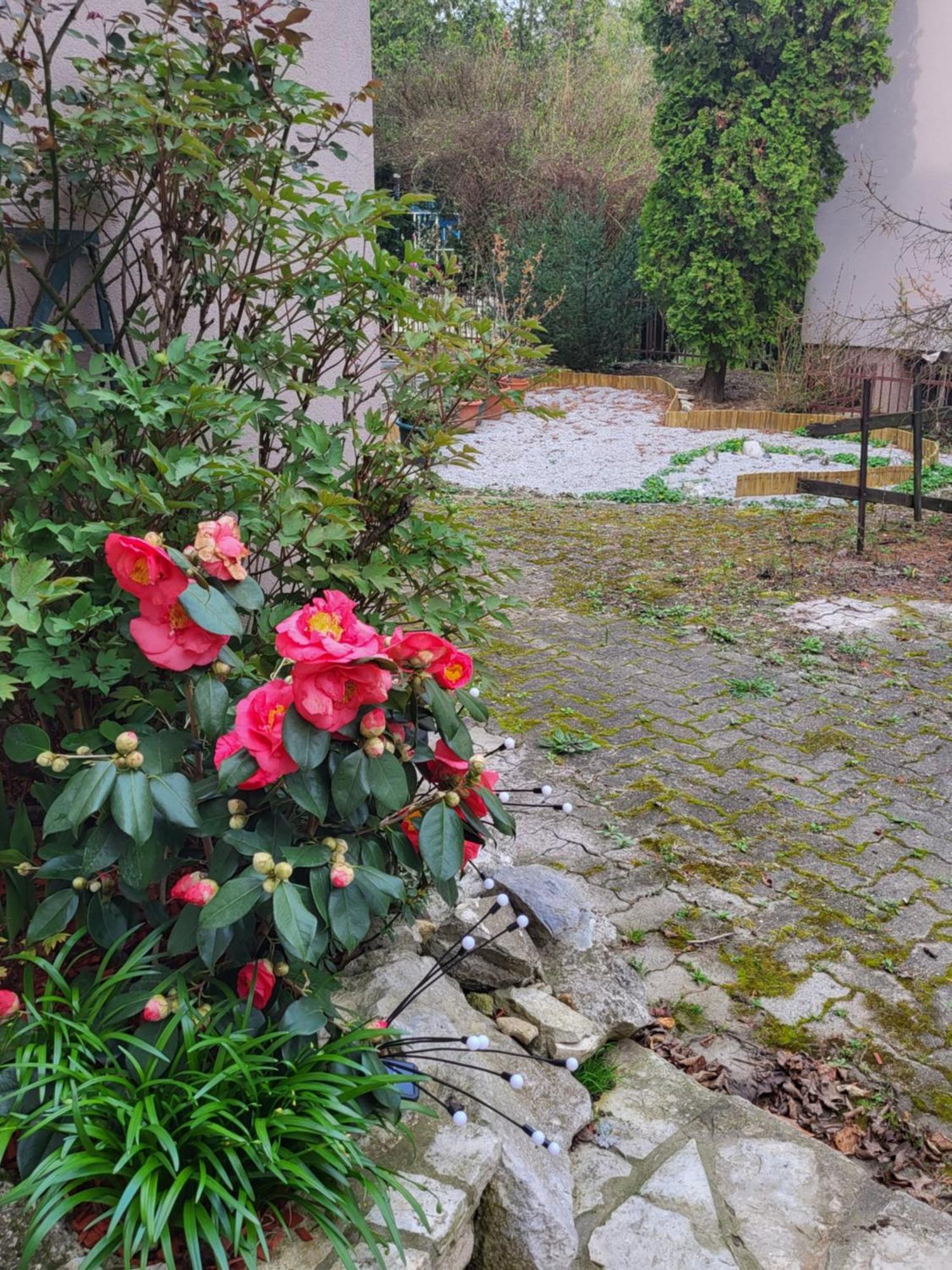 Villa Vino & Grad Záhřeb Exteriér fotografie