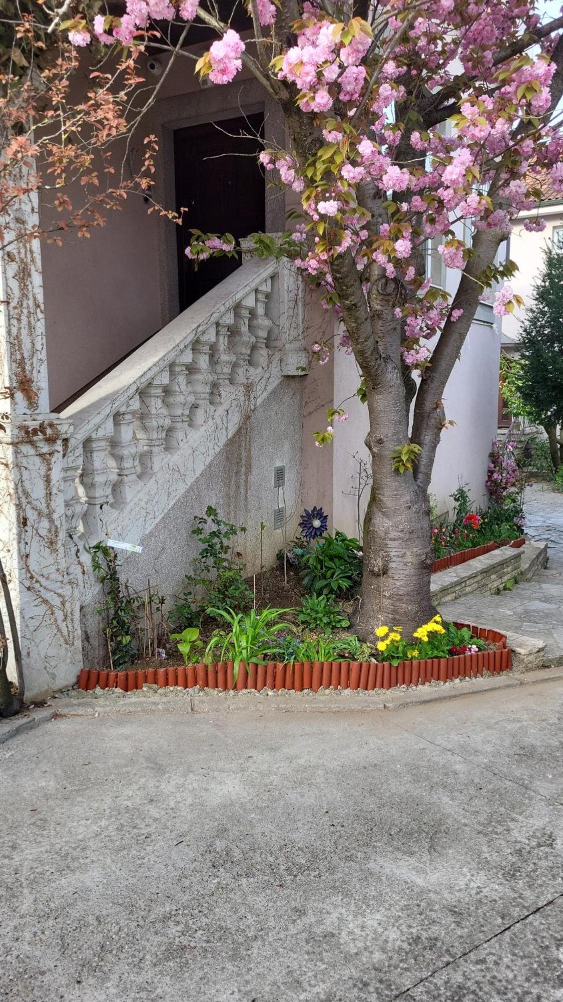 Villa Vino & Grad Záhřeb Exteriér fotografie