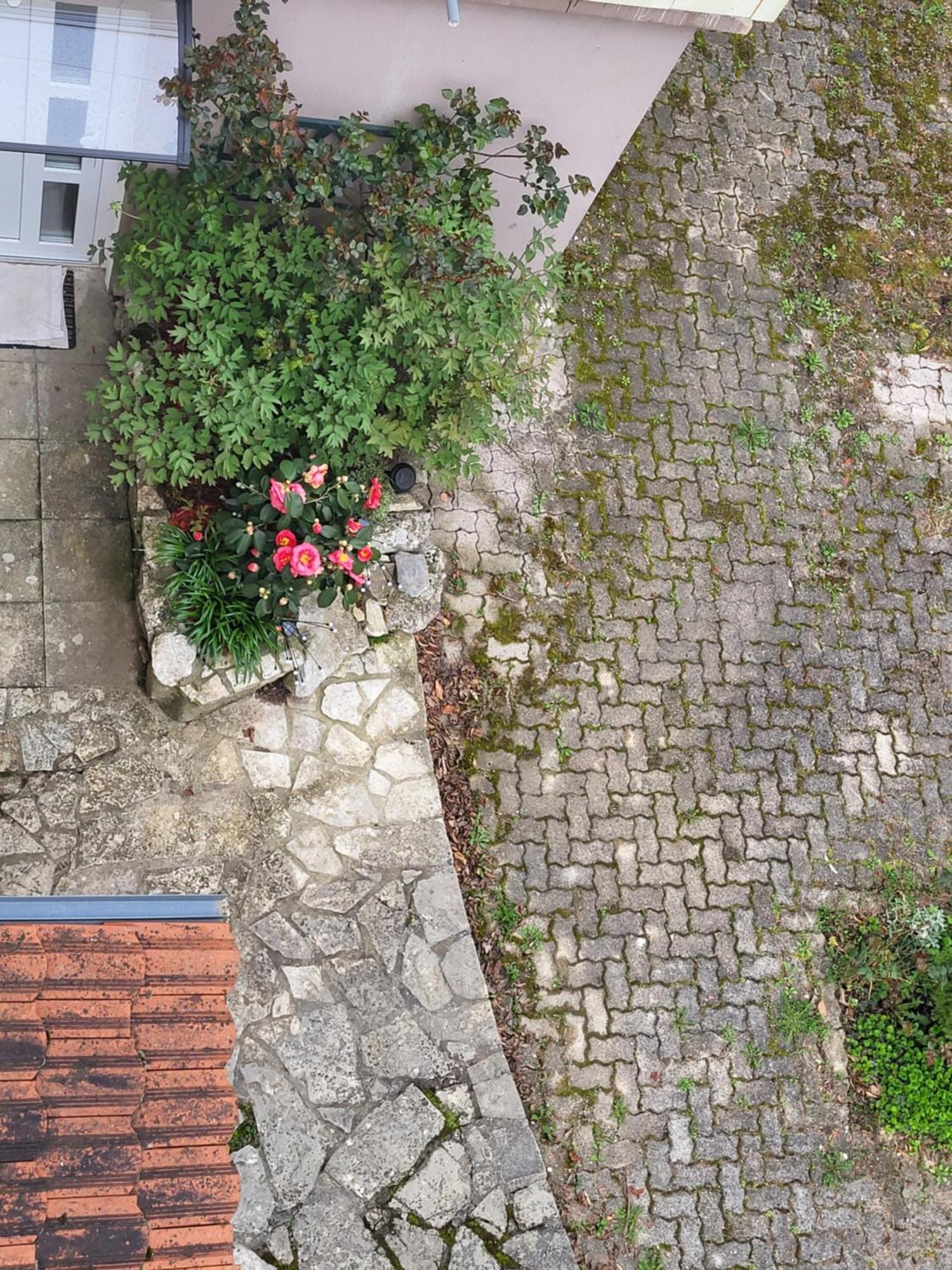 Villa Vino & Grad Záhřeb Exteriér fotografie