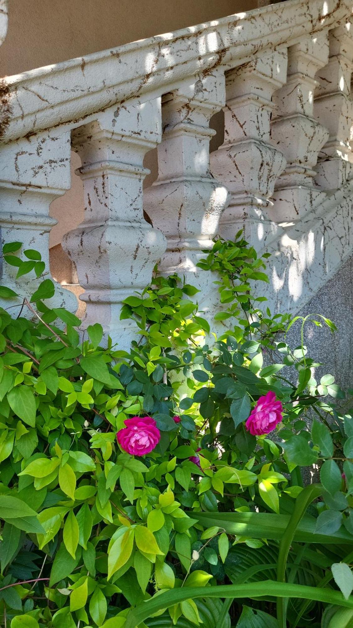 Villa Vino & Grad Záhřeb Exteriér fotografie